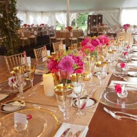 /album/galleria-foto1/image475x482-jpg/