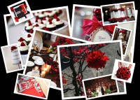 /album/galleria-foto3/a869187d-b10a-4b0d-b333-0fde62d5133fwallpaper-jpg/