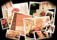 /album/galleria-foto5/a46d4beac-9dfd-49a7-af12-c632113073bawallpaper-jpg/