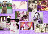 /album/galleria-foto7/baf653f3-ff26-4420-824d-f49c68832bb9wallpaper-jpg/