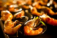 /album/galleria-foto-officine-baronali/img-1552-jpg/