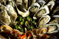 /album/galleria-foto-officine-baronali/img-1593-jpg/